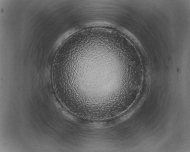 X0000081380937200701111448