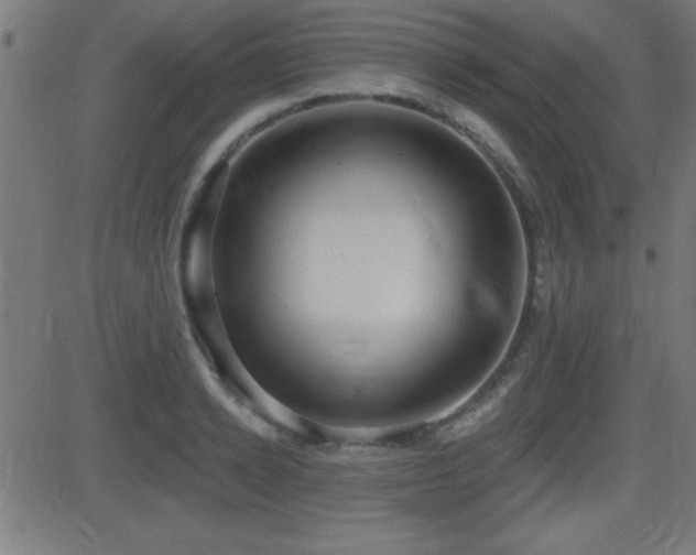 X0000081380942200701111449