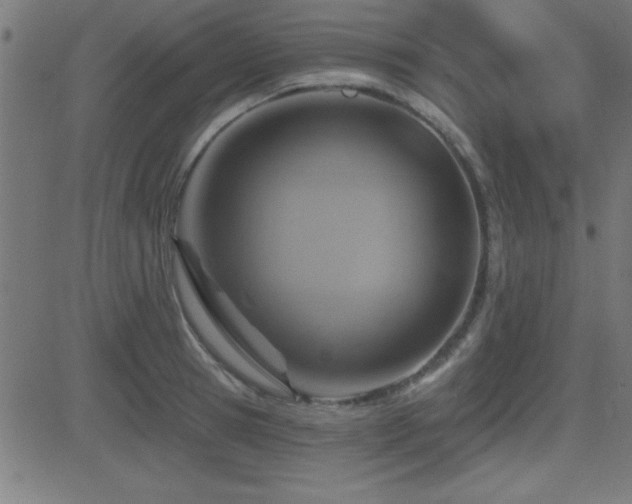 X0000081380945200701111449