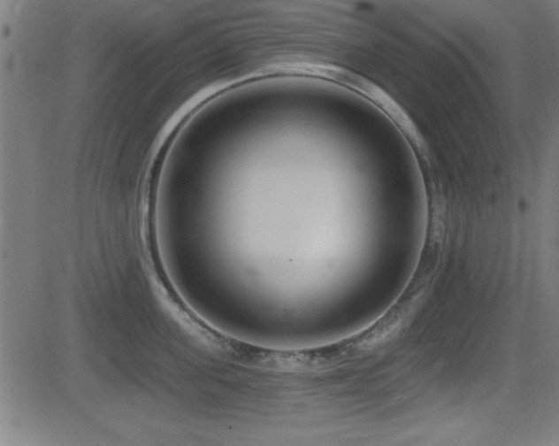 X0000081380955200701111449