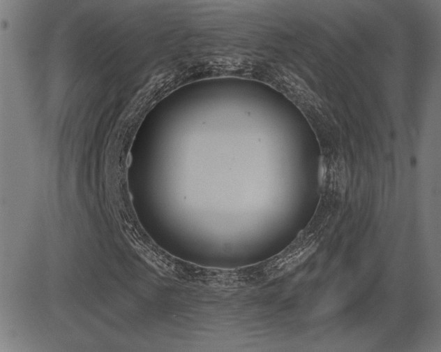 X0000081380961200701111448