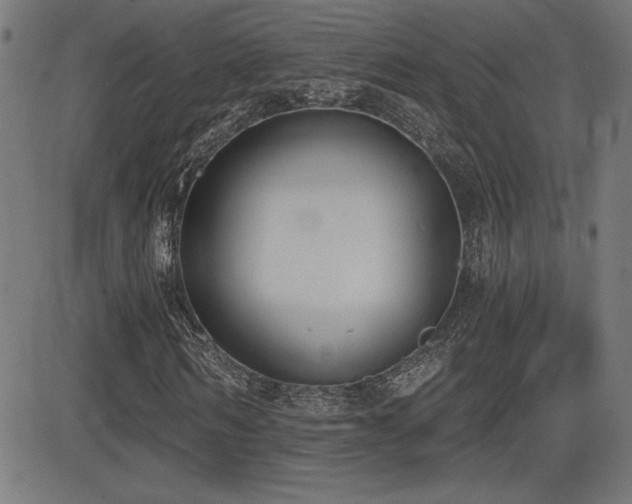 X0000081380962200701111448
