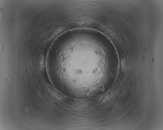 X0000081380963200701111448