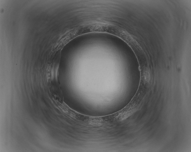 X0000081380964200701111448
