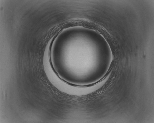 X0000081380965200701111448