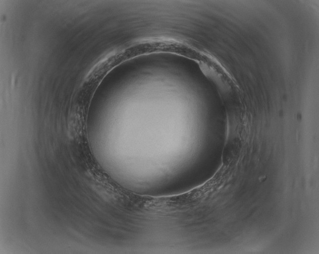 X0000081380967200701111448
