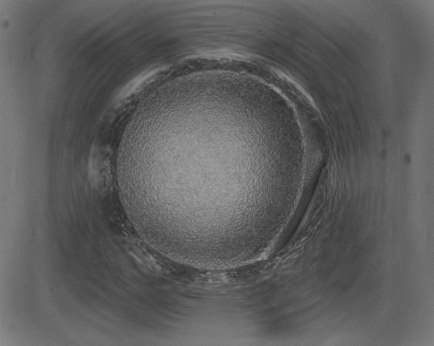 X0000081380968200701111448