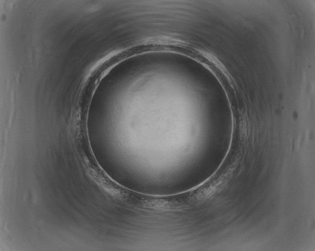 X0000081380971200701111448