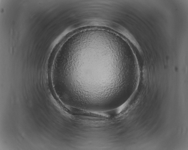 X0000081380972200701111448
