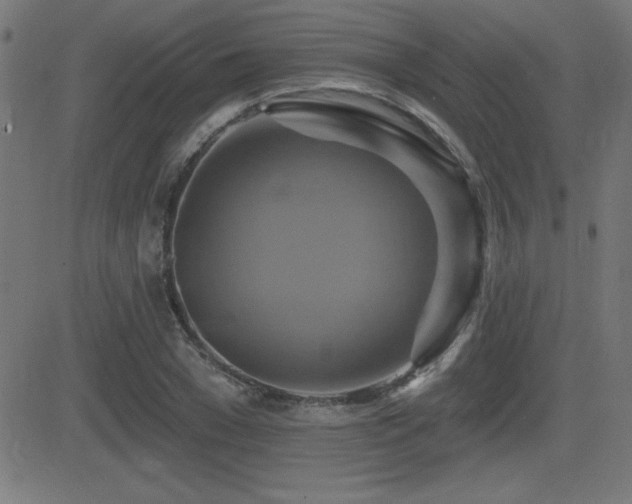 X0000081380977200701111448
