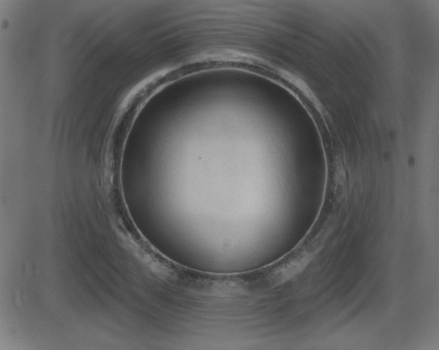 X0000081380979200701111448