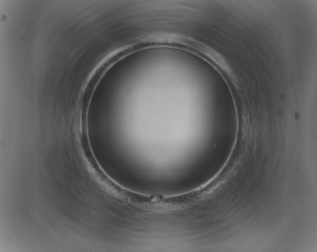 X0000081380984200701111448