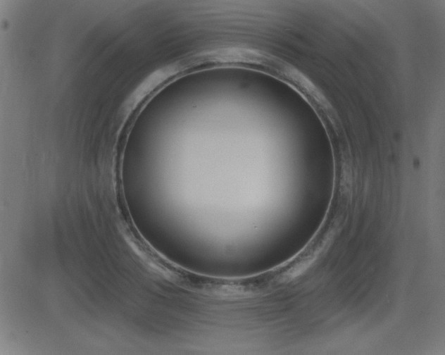 X0000081380986200701111448