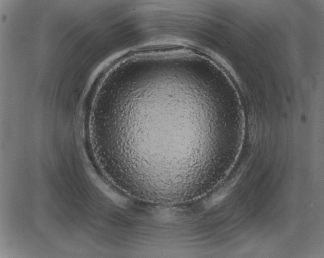 X0000081380987200701111448