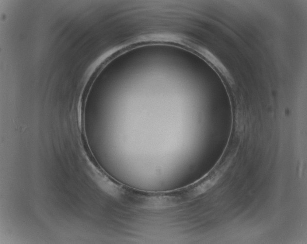 X0000081380988200701111448