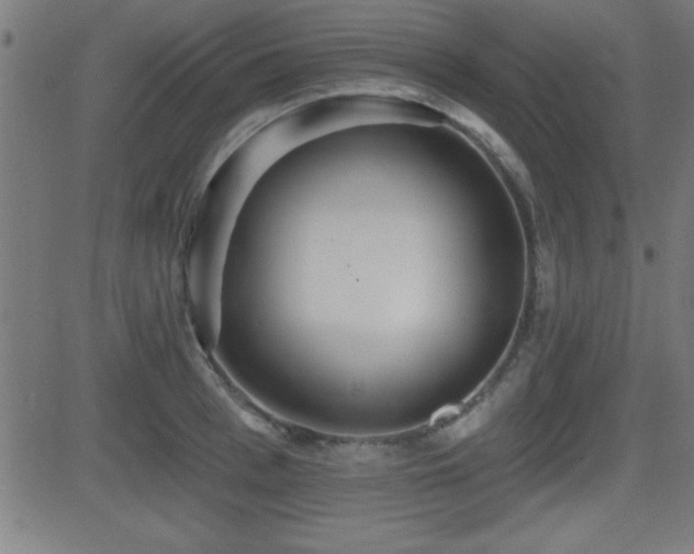 X0000081380993200701111447