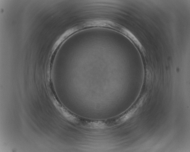 X0000081380994200701111447