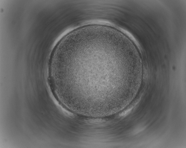 X0000081380999200701111447