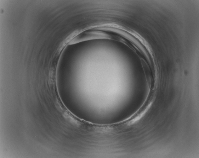 X0000081381001200701111447
