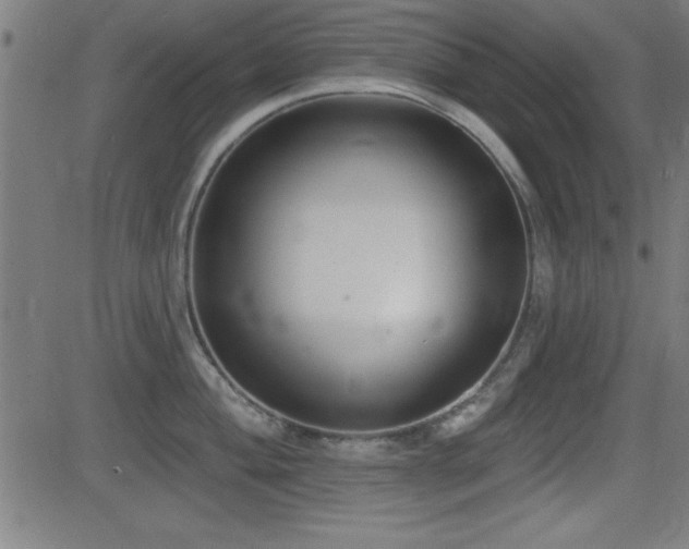 X0000081381004200701111447