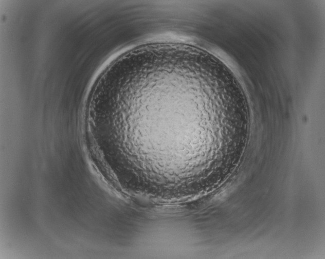 X0000081381008200701111447