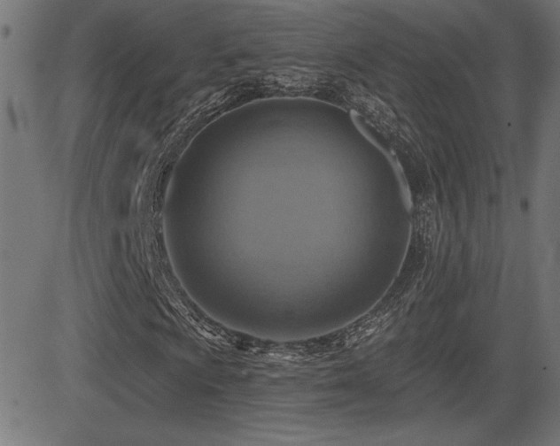 X0000081381009200701111446