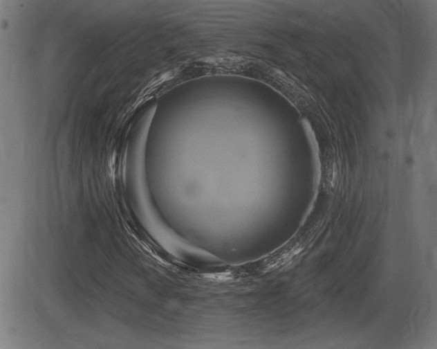 X0000081381010200701111446