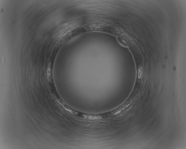 X0000081381011200701111446