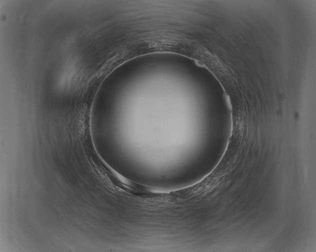 X0000081381012200701111446