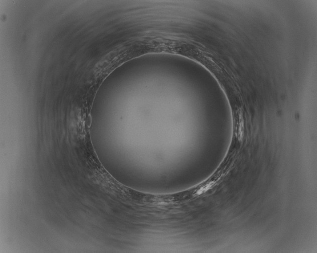 X0000081381013200701111447