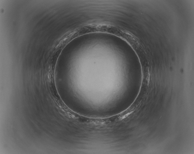 X0000081381014200701111447