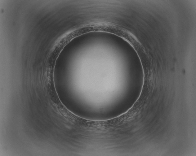 X0000081381016200701111447