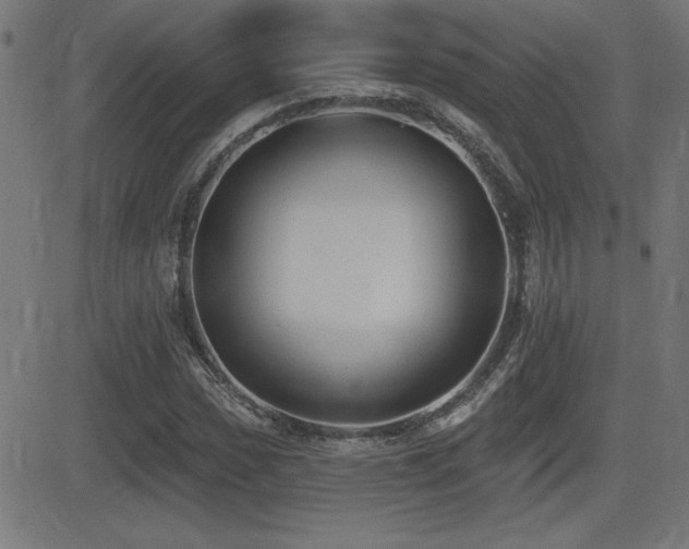 X0000081381017200701111447