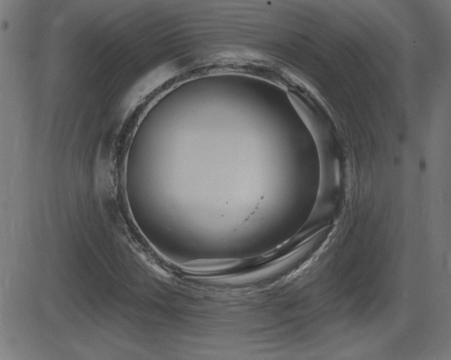 X0000081381018200701111447