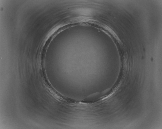 X0000081381023200701111447