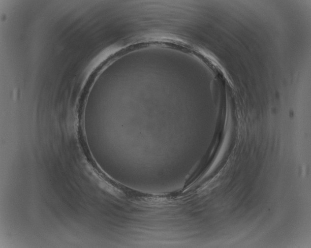 X0000081381024200701111447