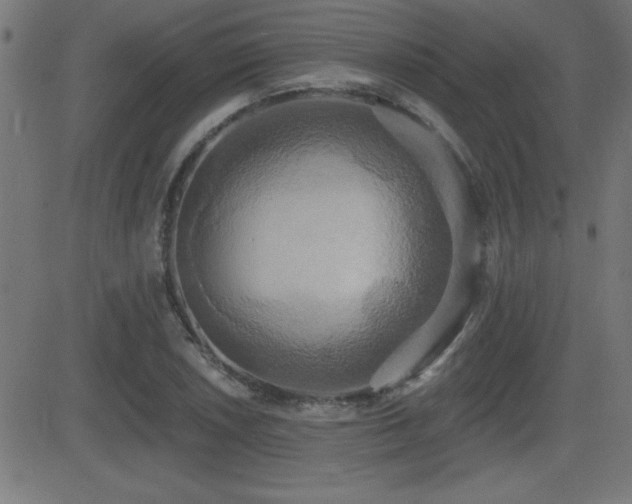 X0000081381026200701111447
