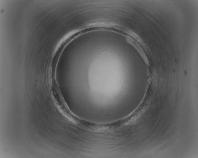 X0000081381030200701111447