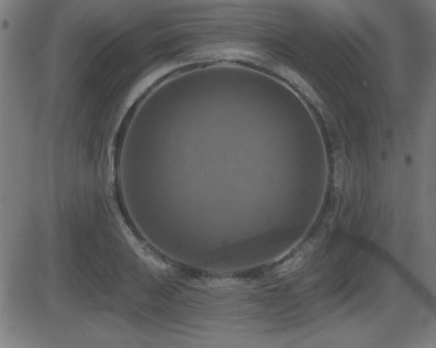 X0000081381031200701111447