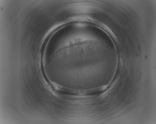 X0000081381035200701111447