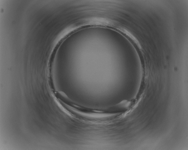 X0000081381037200701111447