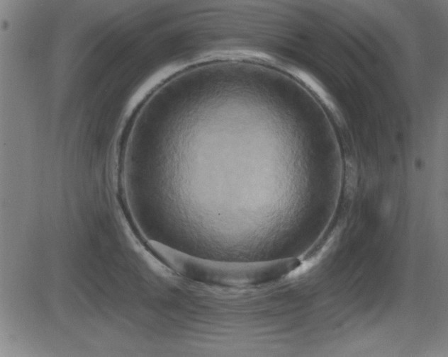 X0000081381046200701111447