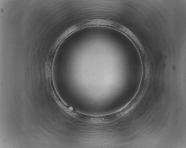 X0000081381049200701111447