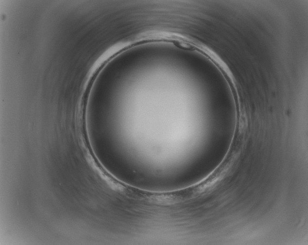 X0000081381053200701111447
