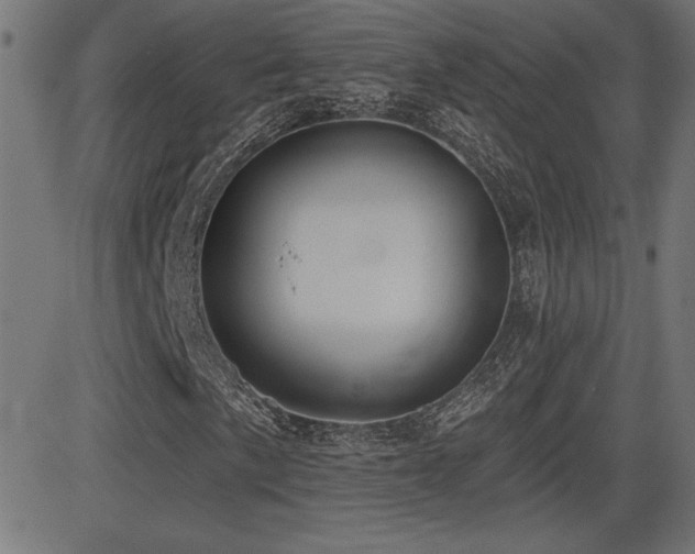 X0000081381057200701111446