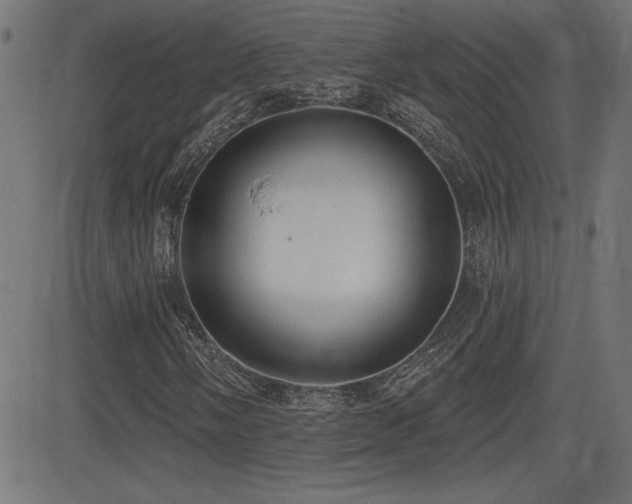 X0000081381058200701111446