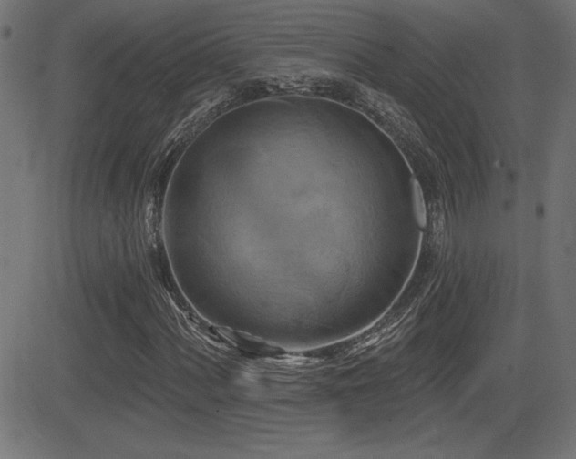 X0000081381060200701111446
