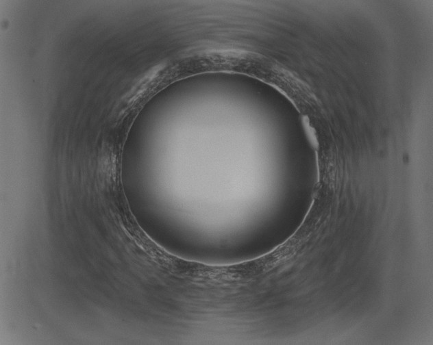 X0000081381061200701111446