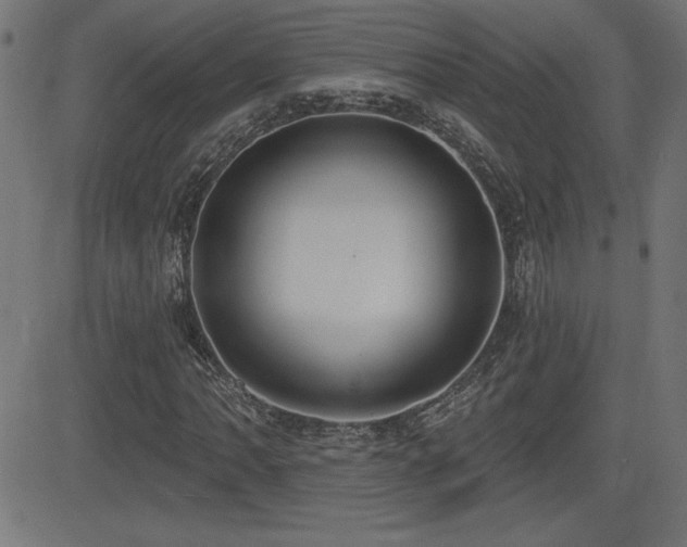 X0000081381062200701111446