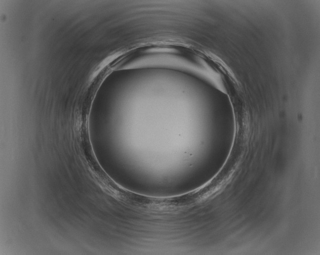 X0000081381065200701111446